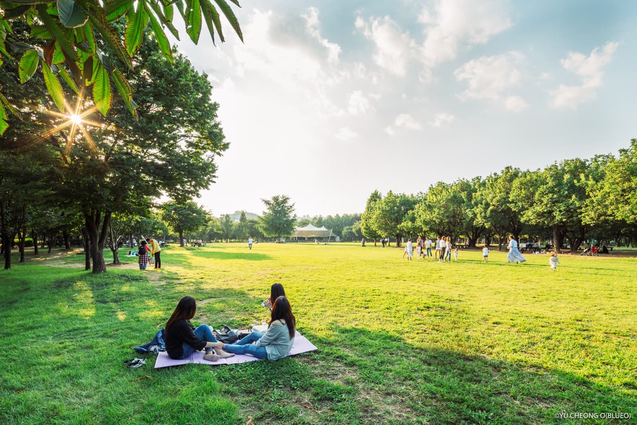 서울숲 대표 이미지