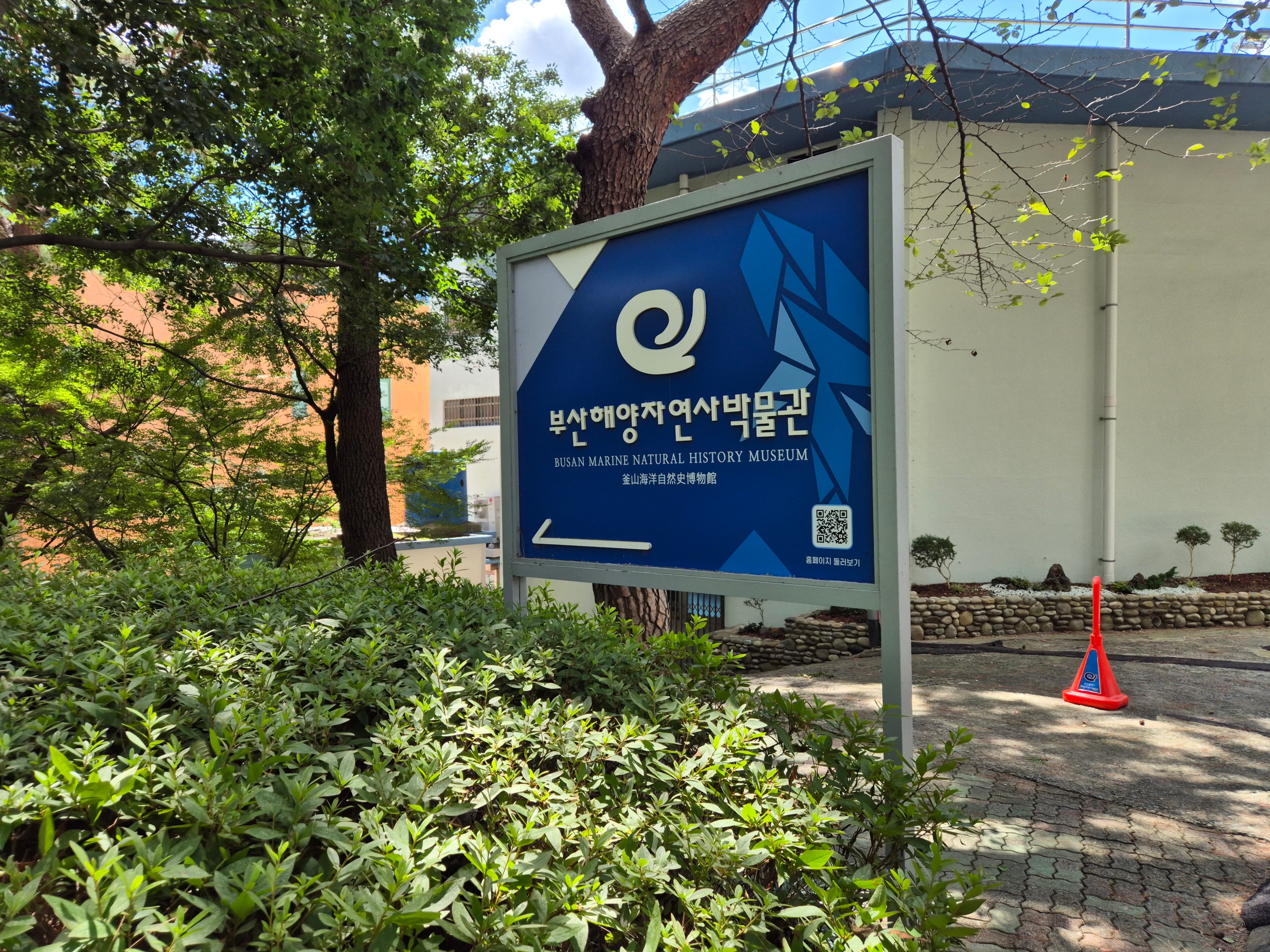 부산해양자연사박물관 대표 이미지